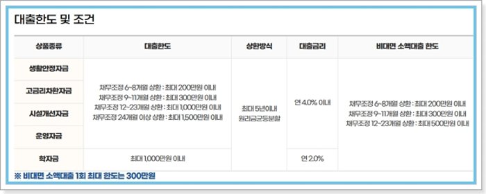 개인회생자 대출 상품 (전세자금, 국민행복기금 소액대출, 대환대출, 햇살론15 특례보증) 정부지원 자격, 지원 내용